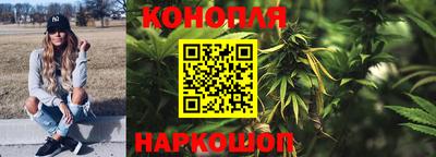 прущие крисы Заводоуковск