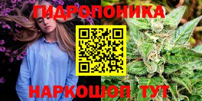 бошки Жуковский