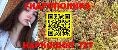 прущие крисы Заводоуковск
