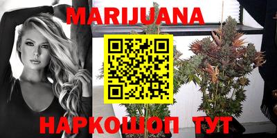прущие крисы Заводоуковск