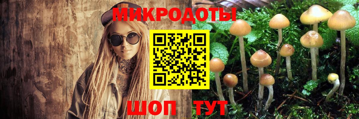 Коркино  Псилоцибиновые грибы Cubensis  Вход с VPN 